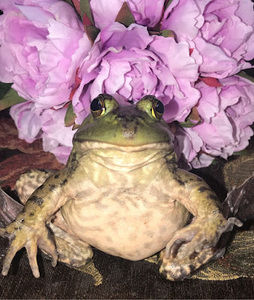 Meet your Posher, Miriam